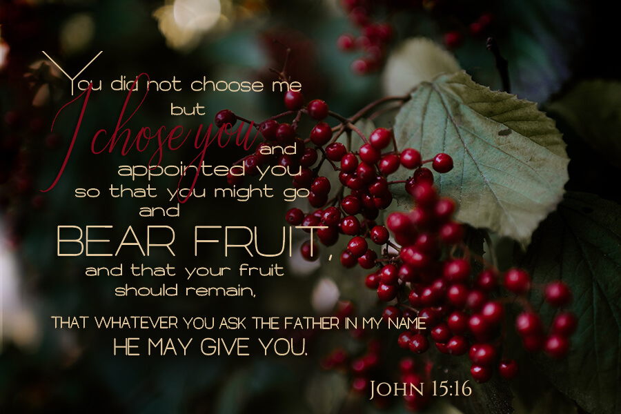 John 15:16