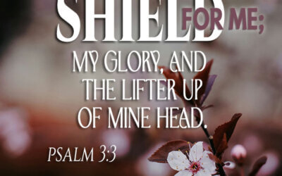 Psalm 3:3