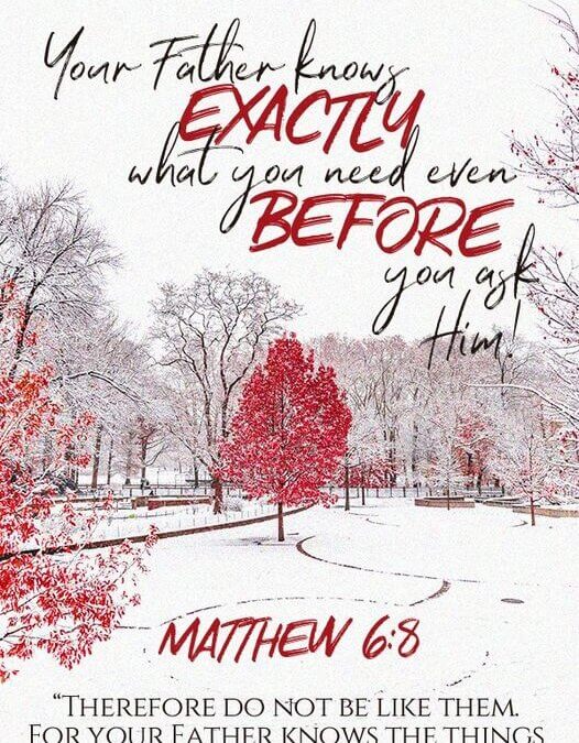 Matthew 6:8