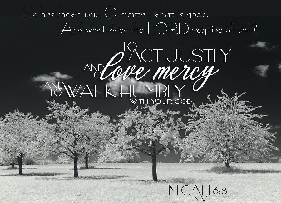 Micah 6:8