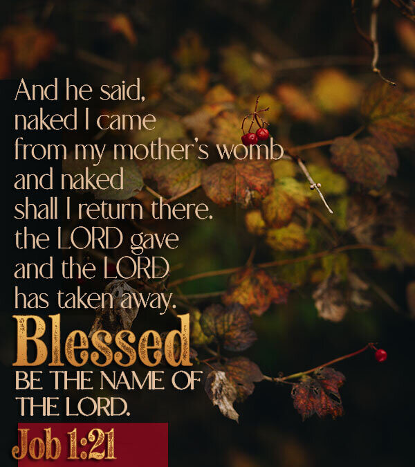 Job 1:21