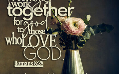 Romans 8:28