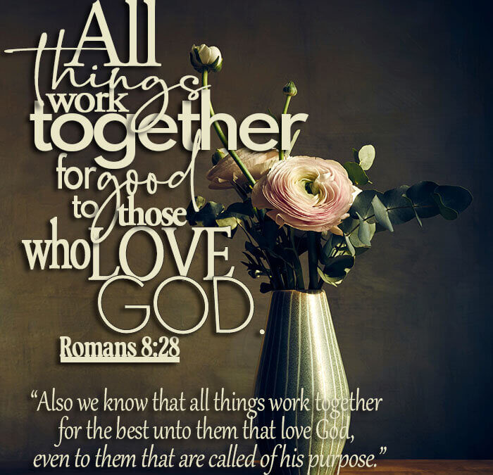 Romans 8:28