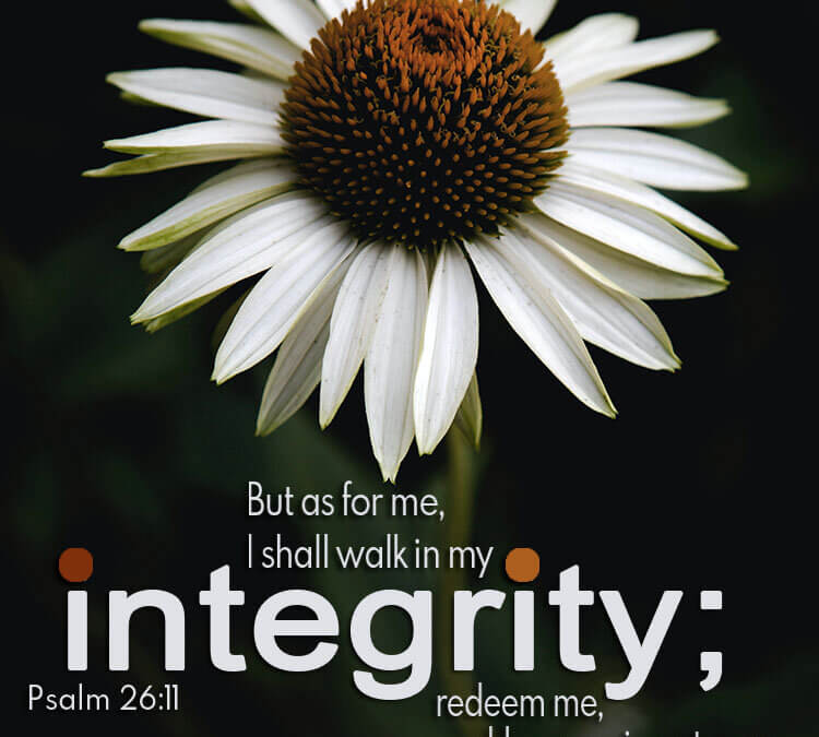 Psalm 26:11