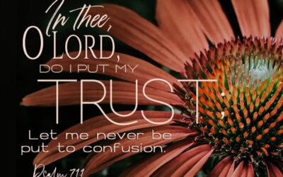 Psalm 71:1