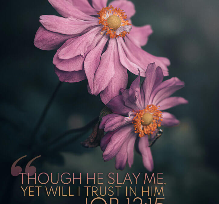 Job 13:15