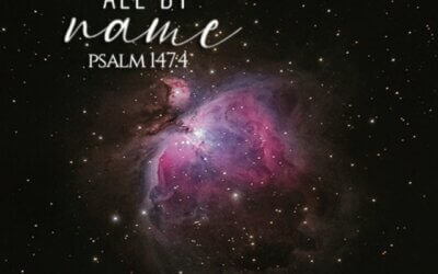 Psalm 147:4