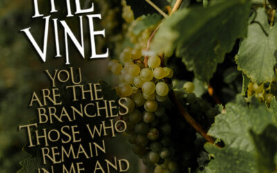 John 15 :5