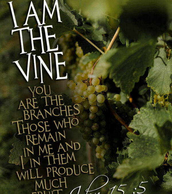 John 15 :5