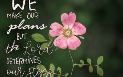 Proverbs 16:9