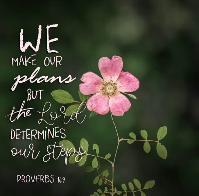 Proverbs 16:9