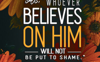 Romans 10:11