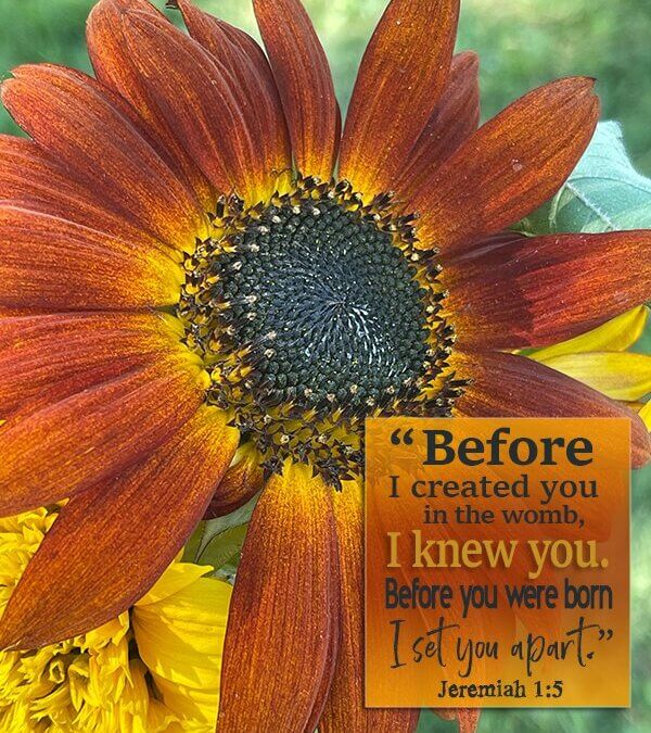 Jeremiah 1:5