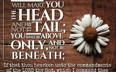Deut. 28:13