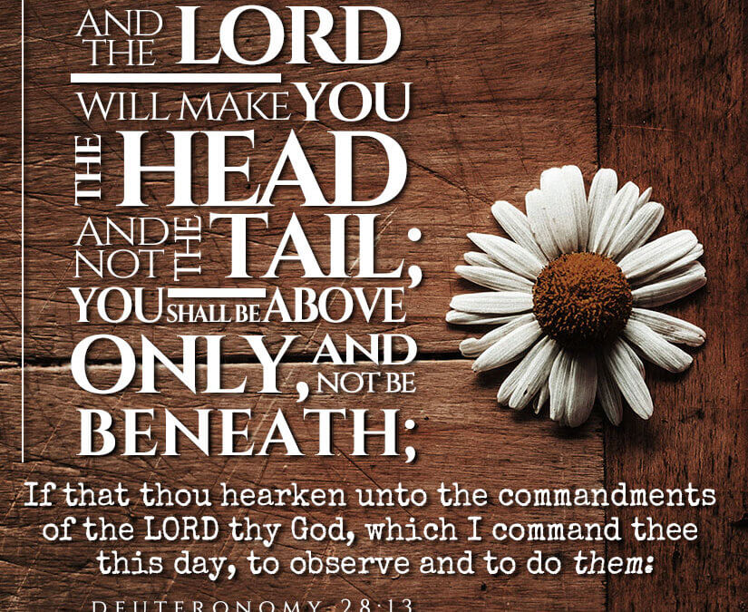 Deut. 28:13