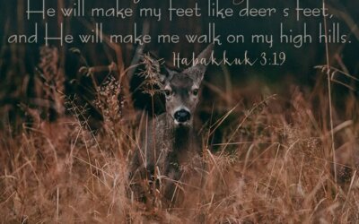 Habakkuk 3:19
