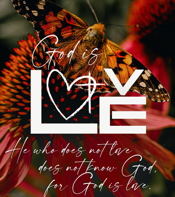1 John 4:8