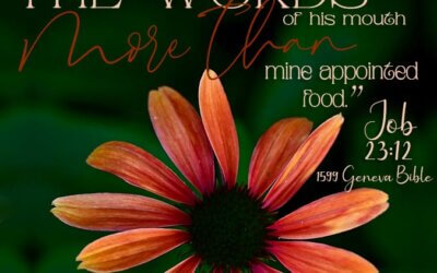 Job 23:12