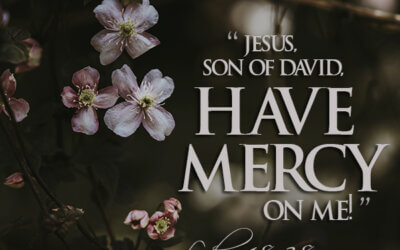 Luke 18:38