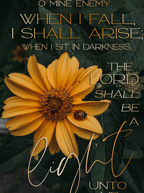Micah 7:8