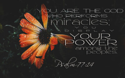 Psalm 77:14