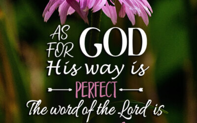 Psalm 18:30