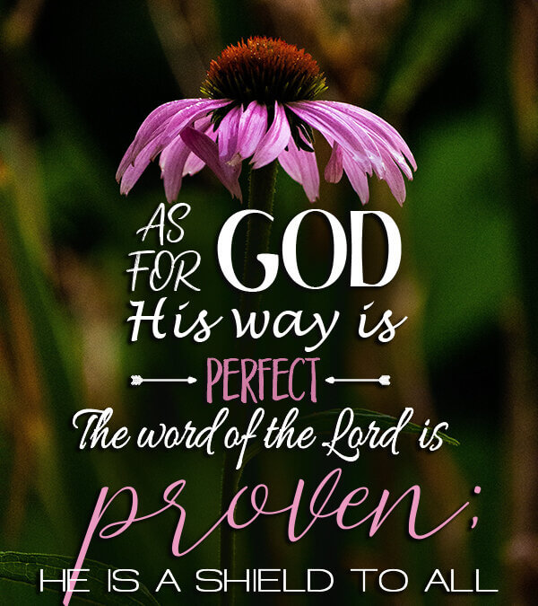 Psalm 18:30