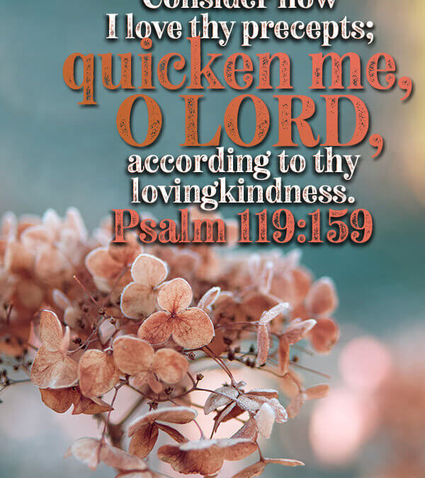 Psalm 119:159