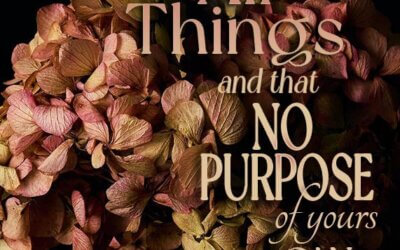 Job 42:2