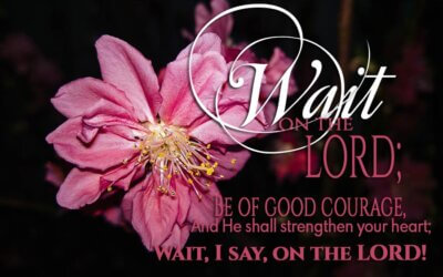 Psalm 27:14