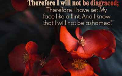 Isaiah 50:7