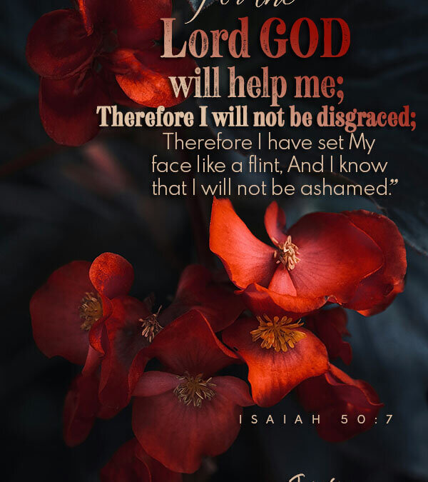 Isaiah 50:7
