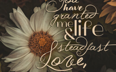 Job 10:12