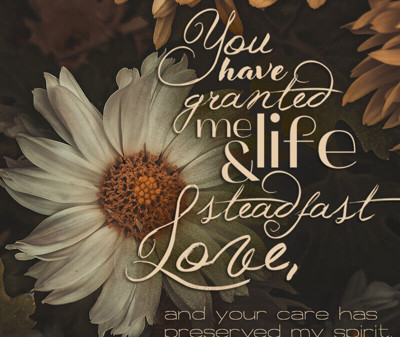 Job 10:12