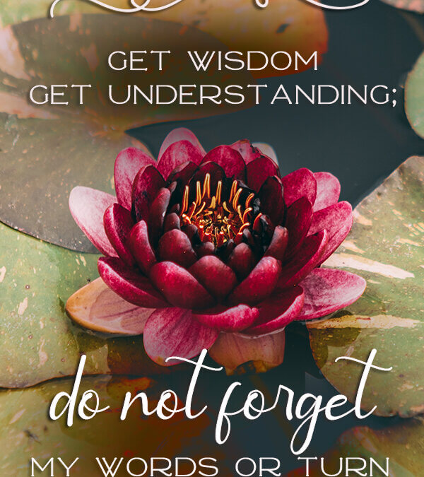 Proverbs 4:5