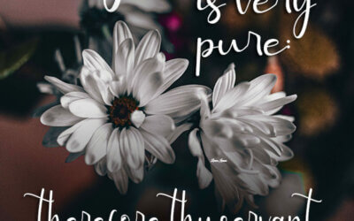 Psalm 119:140