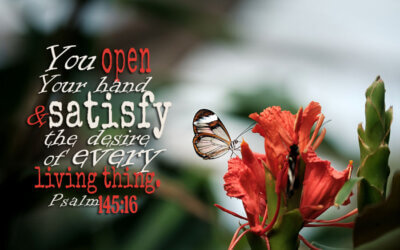 Psalm 145:16