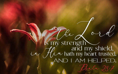 Psalm 28:7