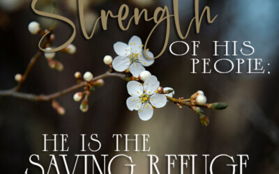 Psalm 28:8
