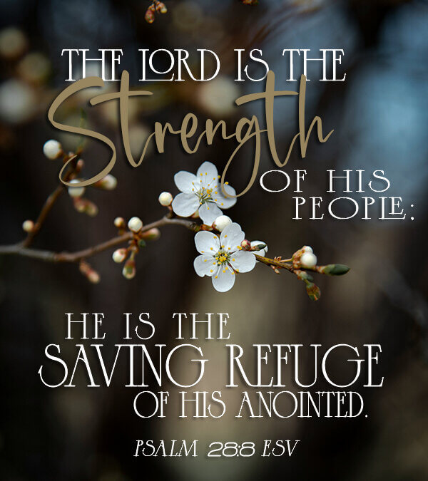 Psalm 28:8