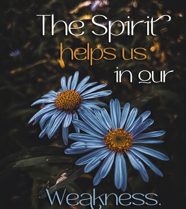 Romans 8:26