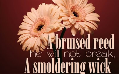 Isaiah 42:3
