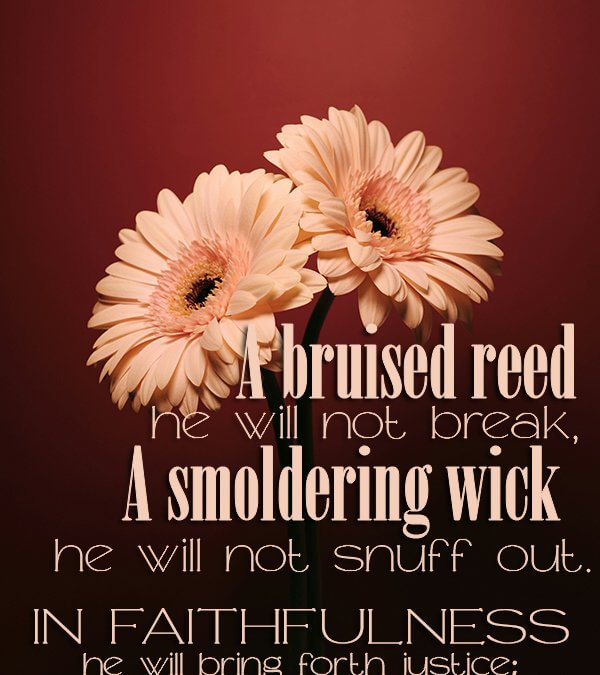 Isaiah 42:3