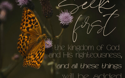 Matthew 6:33