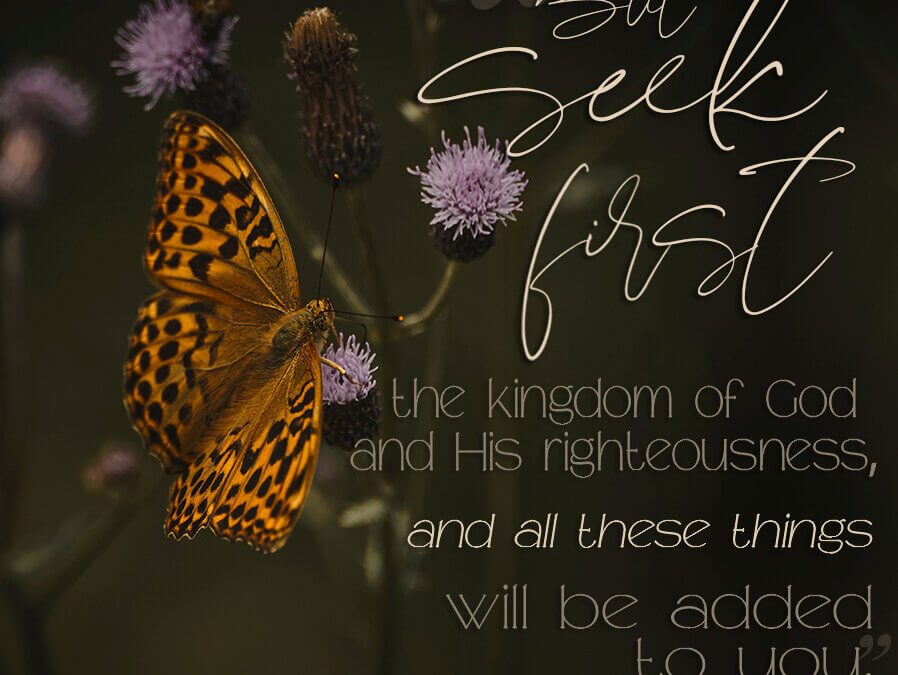 Matthew 6:33