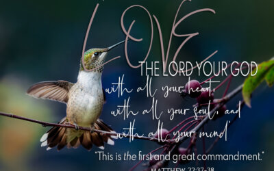 Matthew 22:37-38
