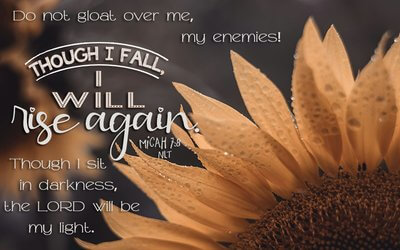 Micah 7:8