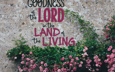 Psalms 27:13