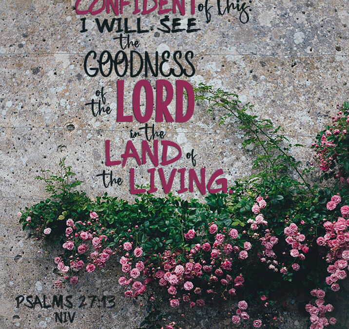 Psalms 27:13