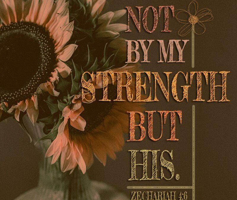 Zechariah 4:6